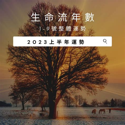 2023生命靈數流年|2023生命流年數看整體運勢，找到年度幸運方向（含。